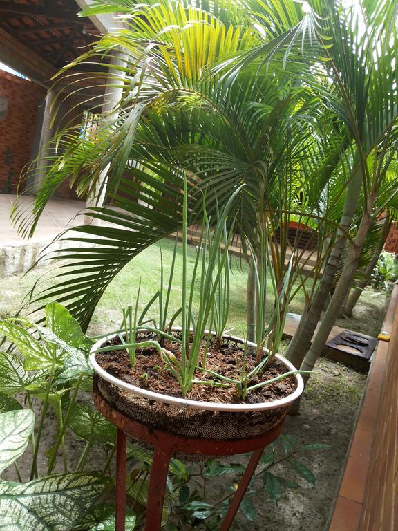 Toca Do Vaidoso Hotel Barreirinhas Kültér fotó
